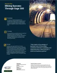 Preview of the GlobeStar Mining Corporation Case Study