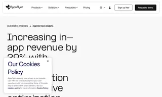 Preview of the Carrefour Case Study