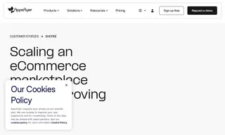 Preview of the Shopee Case Study