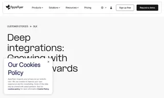 Preview of the OLX Case Study