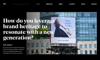 Preview of the Vera Bradley Case Study