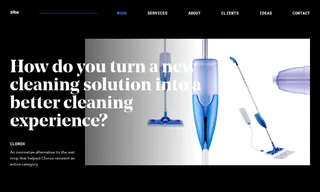 Preview of the Clorox Case Study