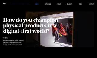 Preview of the Adidas Case Study