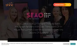 Preview of the SEAO Talent Partners Case Study