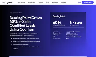 Preview of the BearingPoint Case Study
