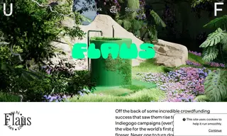 Preview of the Flaus Case Study