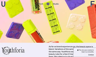 Preview of the Youthforia Case Study