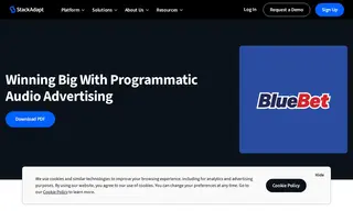 Preview of the BlueBet Case Study