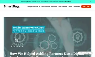 Preview of the Ashling Partners Case Study