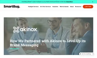 Preview of the Akinox Case Study