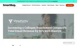 Preview of the Collagen Supplement Company Case Study