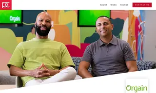 Preview of the Orgain Case Study
