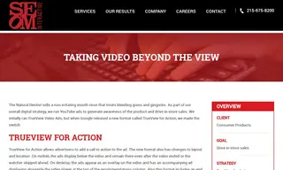 Preview of the The Natural Dentist Case Study