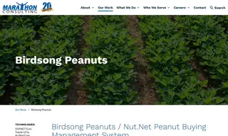 Preview of the Birdsong Peanuts Case Study