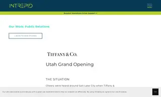 Preview of the Tiffany & Co Case Study