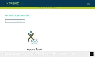 Preview of the The Road Home Case Study