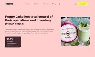 Preview of the Puppy Cake Case Study
