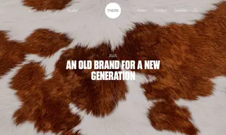 Preview of the Australian Veterinary Association Case Study