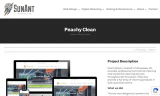 Preview of the Peachy Clean Case Study