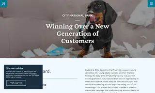 Preview of the City National Bank Case Study