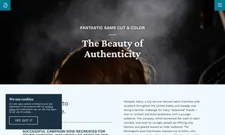 Preview of the Fantastic Sams Case Study