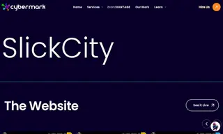 Preview of the SlickCity Case Study