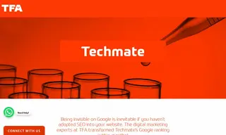 Preview of the Techmate Case Study