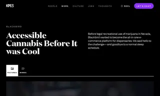 Preview of the Blackbird Case Study