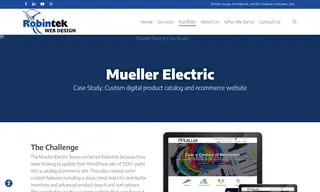 Preview of the Mueller Electric Case Study