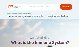 Preview of the Standard Process Case Study