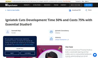 Preview of the Igniatek Consultancy Case Study