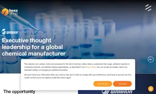 Preview of the Wanhua Case Study