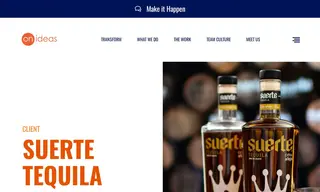 Preview of the Suerte Tequila Case Study