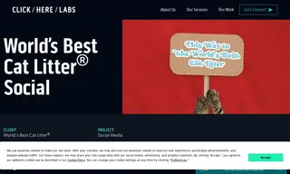 Preview of the World's Best Cat Litter Case Study