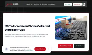 Preview of the eCommerce Company Case Study