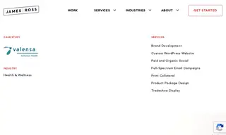 Preview of the Valensa International Case Study