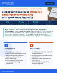 Preview of the Global Bank Case Study