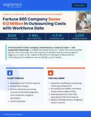 Preview of the Fortune 500 Company Case Study