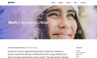 Preview of the Snowmass Village Case Study