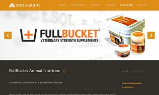 Preview of the Fullbucket Health Case Study