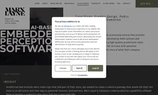 Preview of the StradVision Case Study