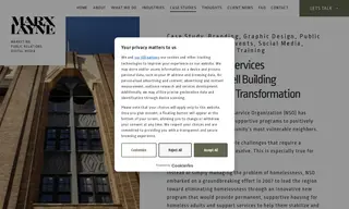 Preview of the Neighborhood Service Organization Case Study