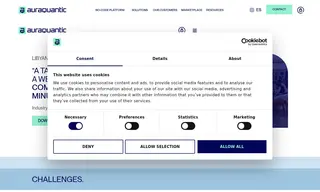 Preview of the Libyan International University Case Study