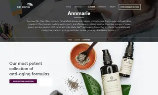 Preview of the Annmarie Skin Care Case Study