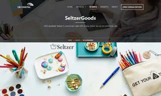 Preview of the SeltzerGoods Case Study