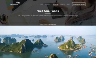 Preview of the Viet Asia Foods Company Case Study