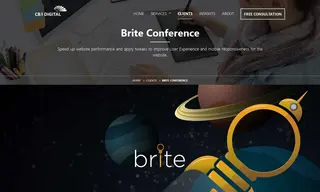 Preview of the BRITE Conference Case Study