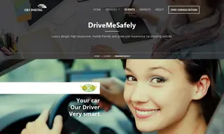 Preview of the DriveMeSafely Case Study
