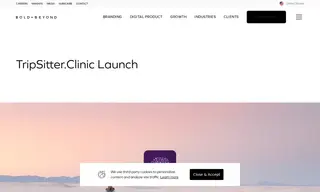 Preview of the TripSitter Case Study