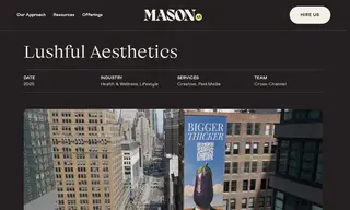 Preview of the Lushful Aesthetics Case Study